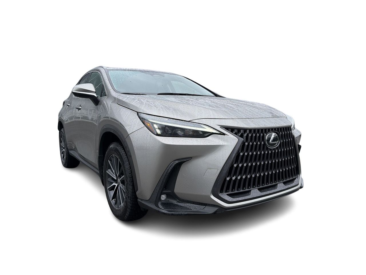 2023 Lexus NX