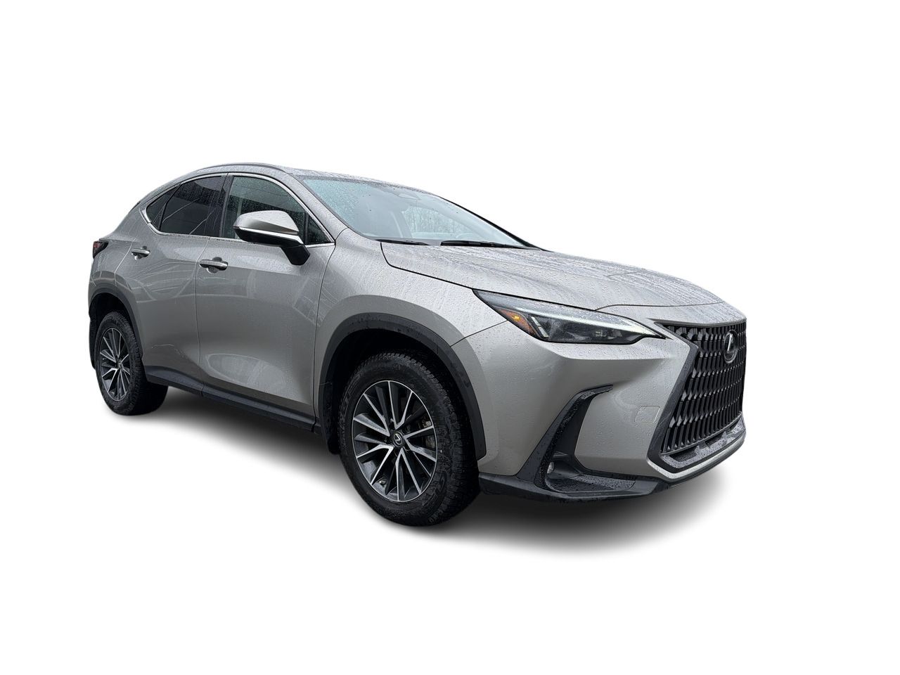 2023 Lexus NX