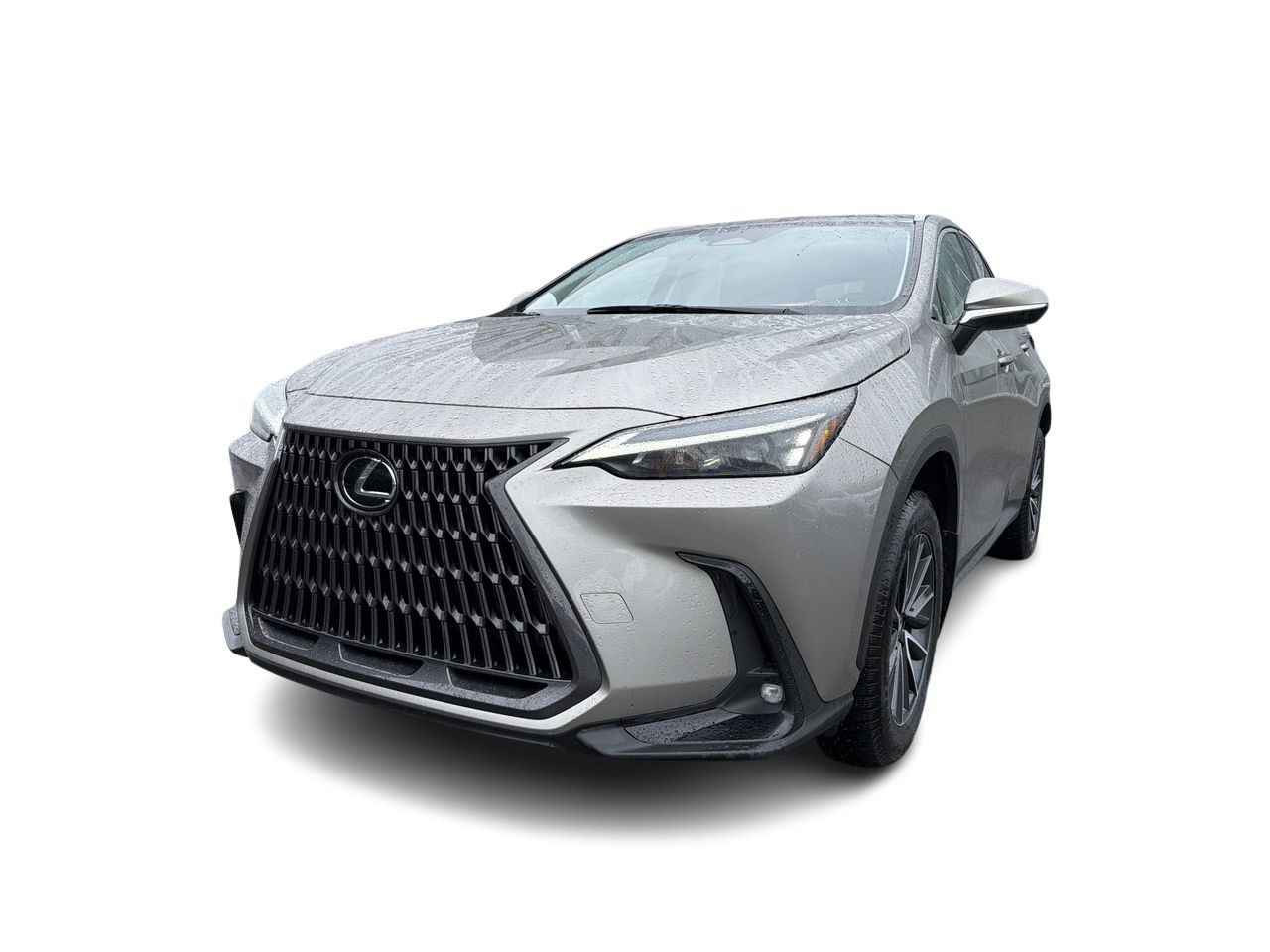 2023 Lexus NX