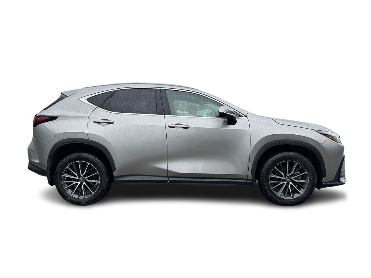 2023 Lexus NX