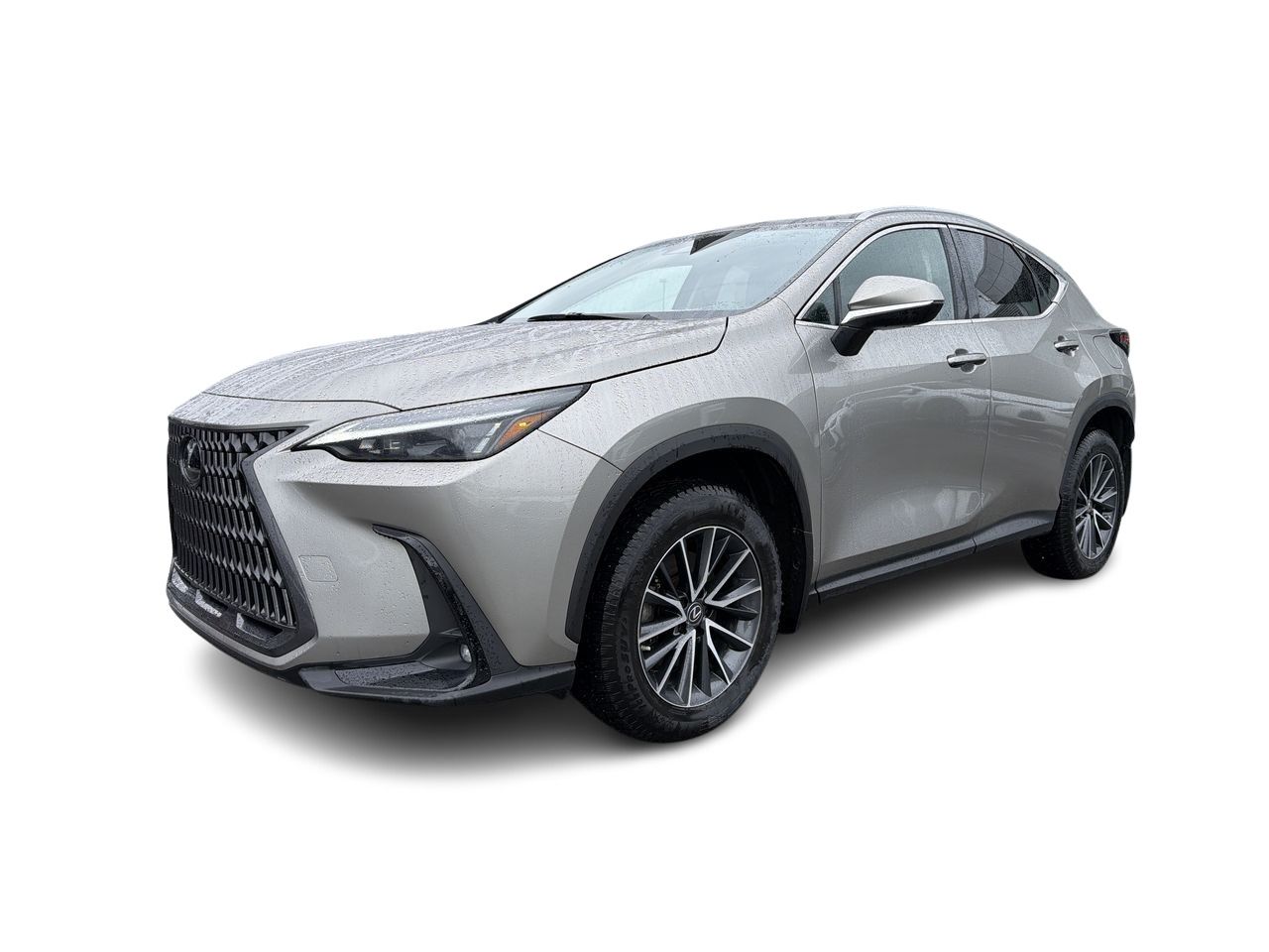 2023 Lexus NX