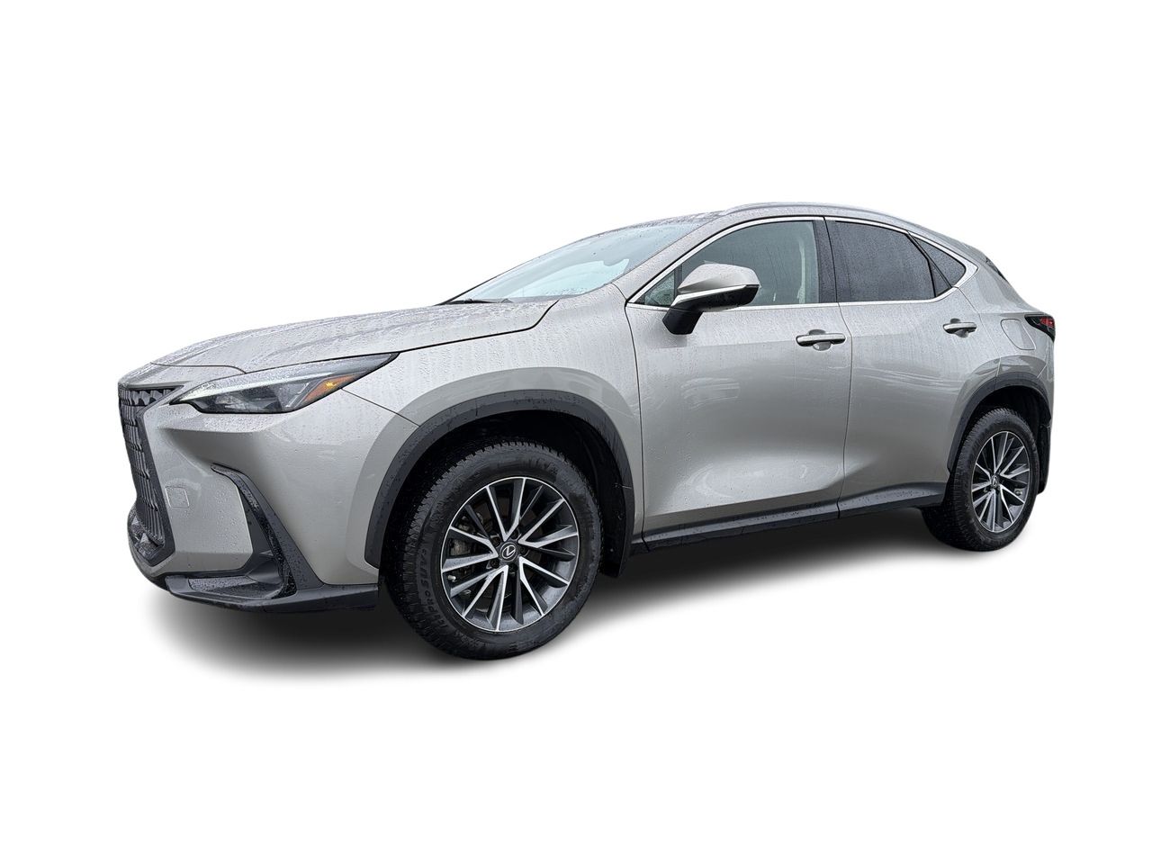 2023 Lexus NX