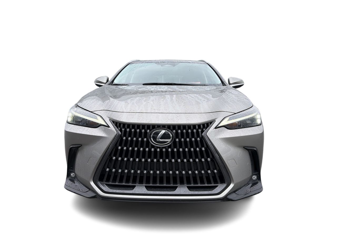 2023 Lexus NX