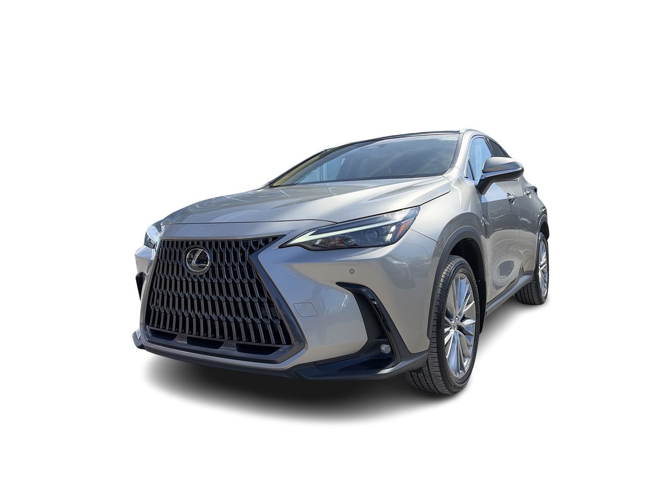 Lexus NX  2023