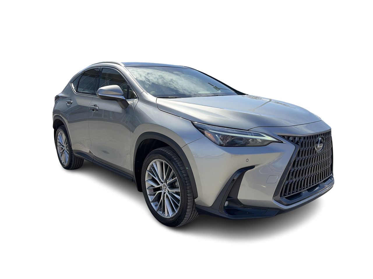 Lexus NX  2023
