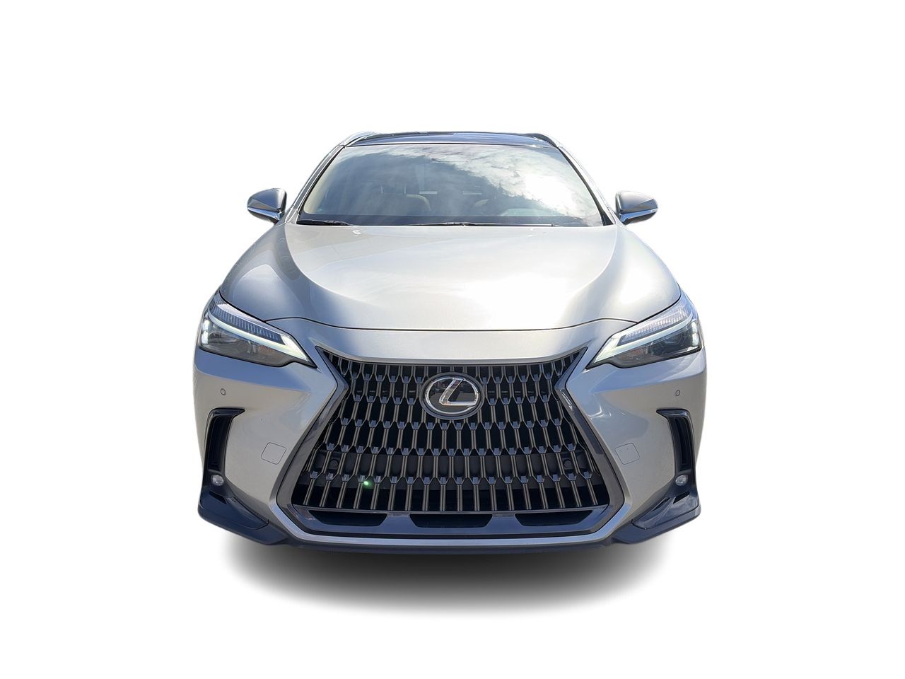 Lexus NX  2023