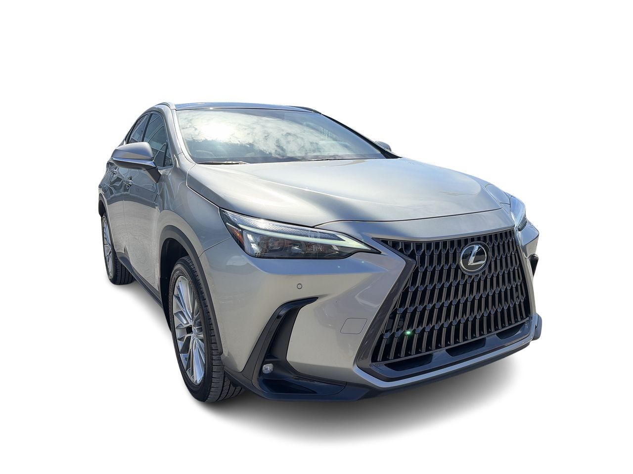 Lexus NX  2023