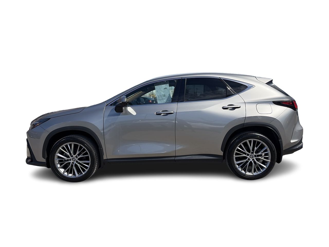 Lexus NX  2023