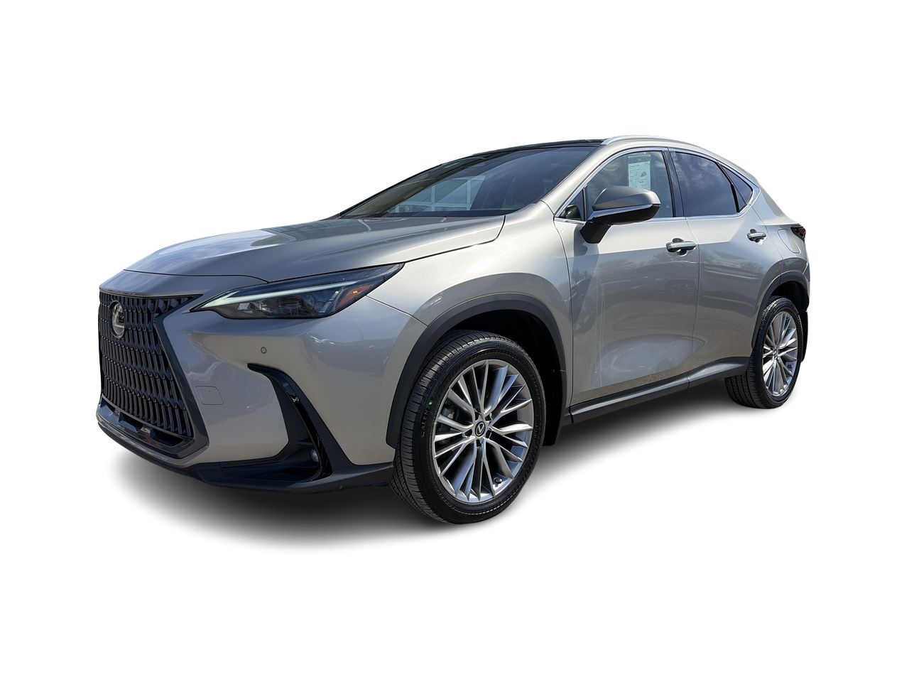 Lexus NX  2023