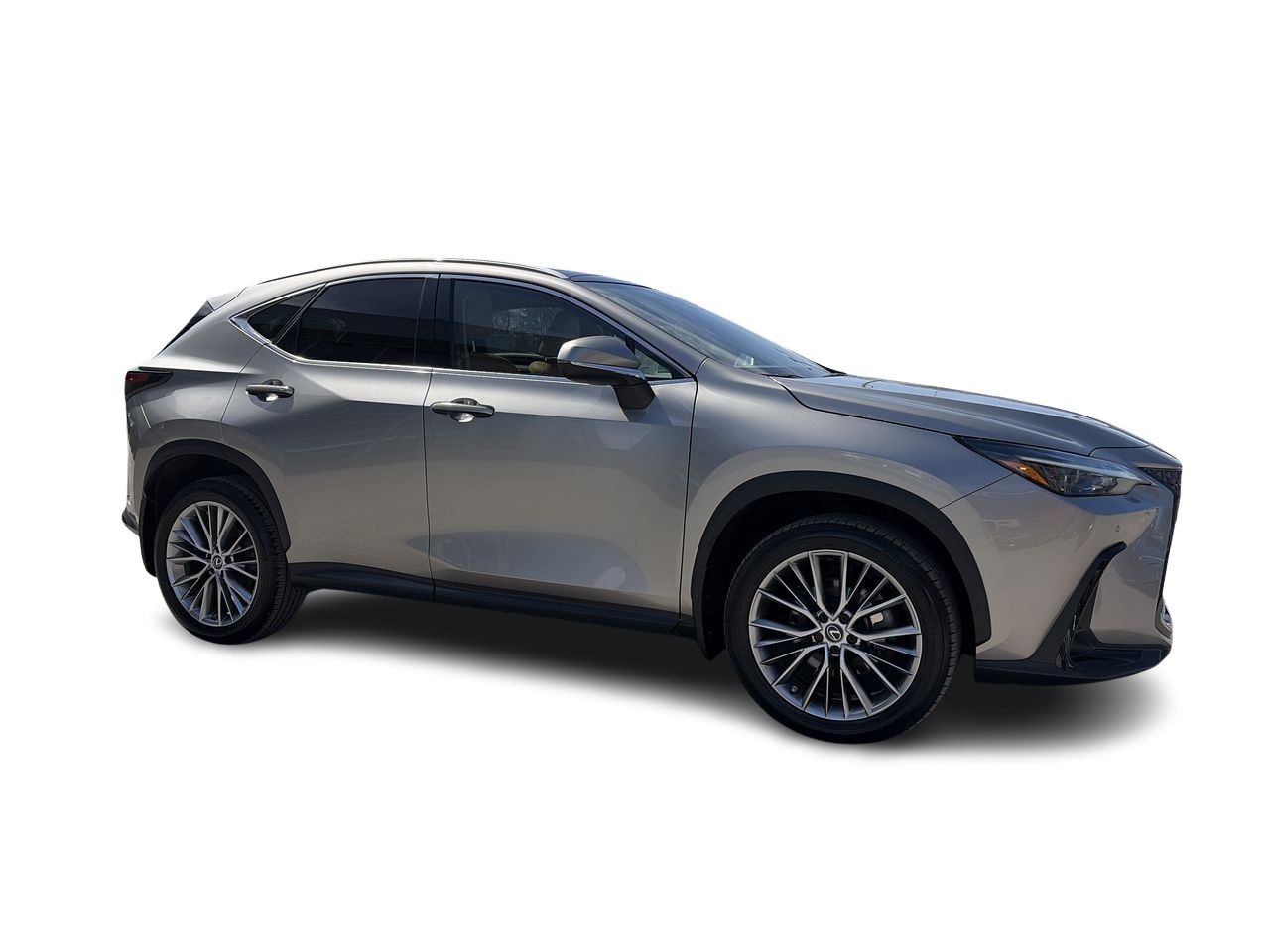 Lexus NX  2023
