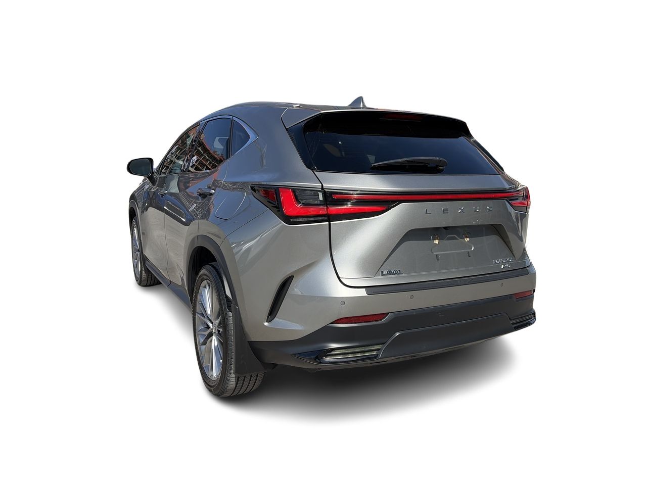 Lexus NX  2023
