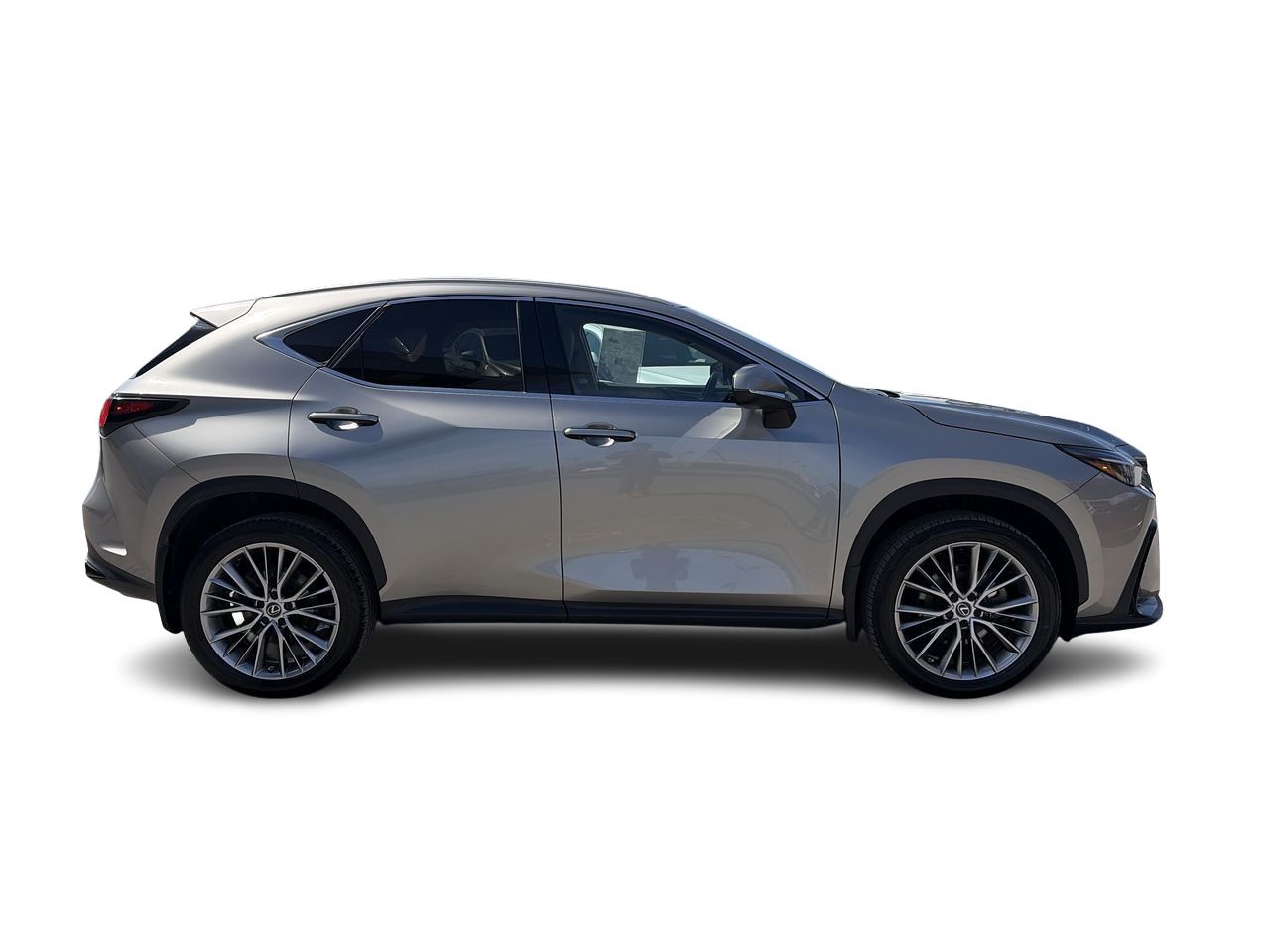 Lexus NX  2023