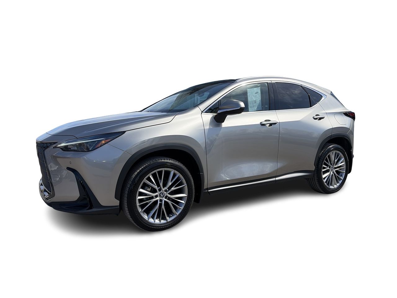 Lexus NX  2023