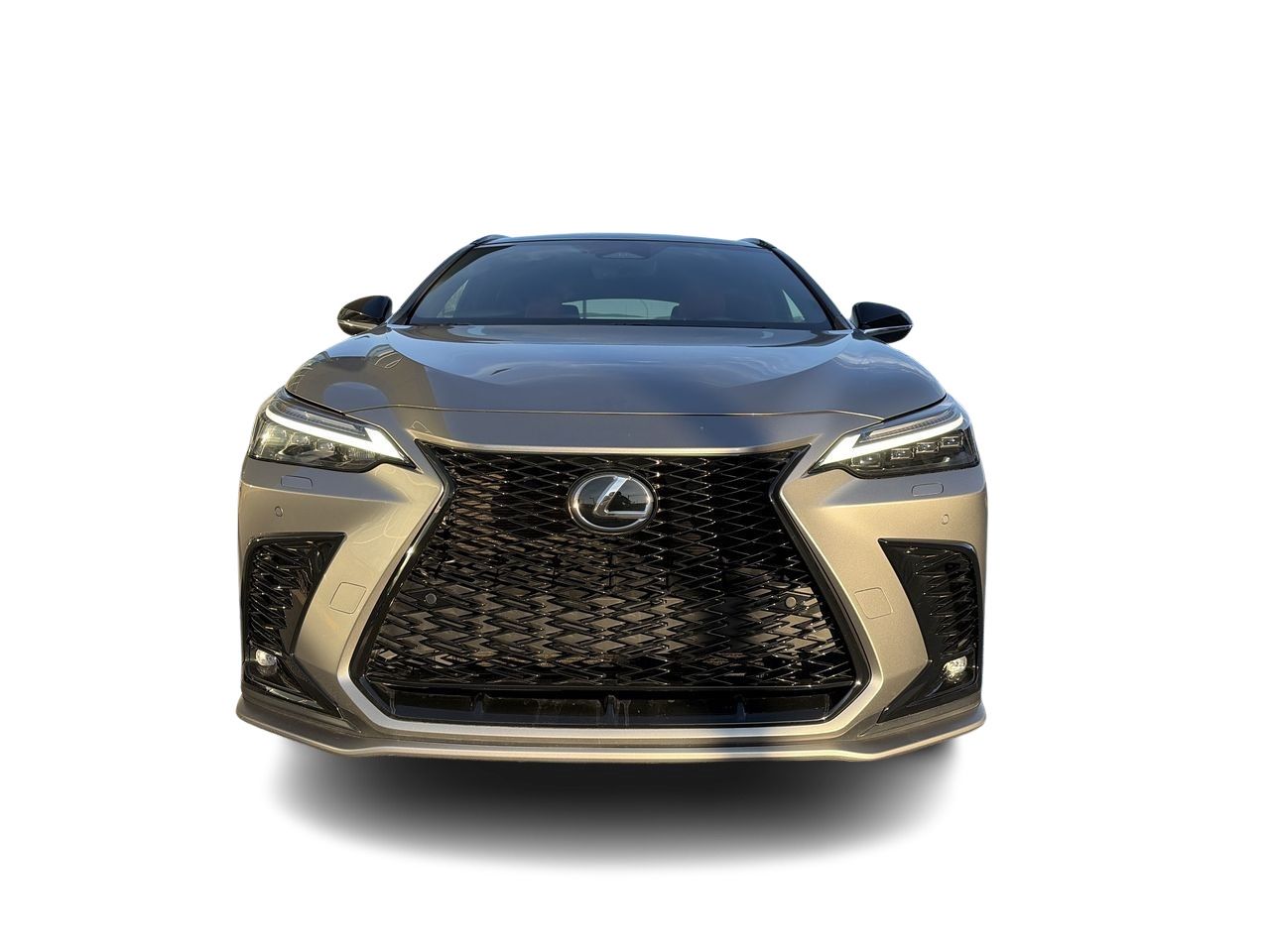 2023 Lexus NX