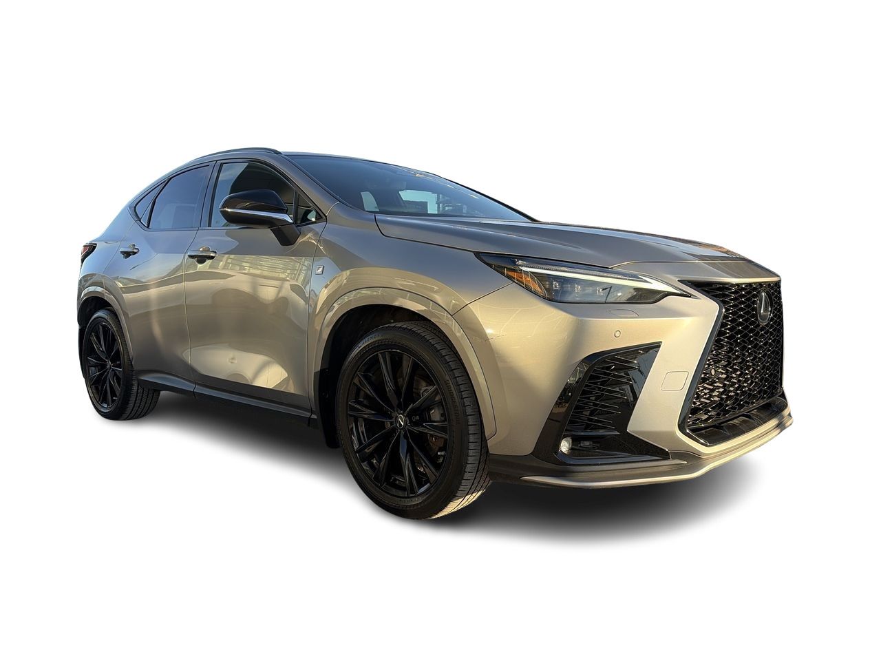 2023 Lexus NX
