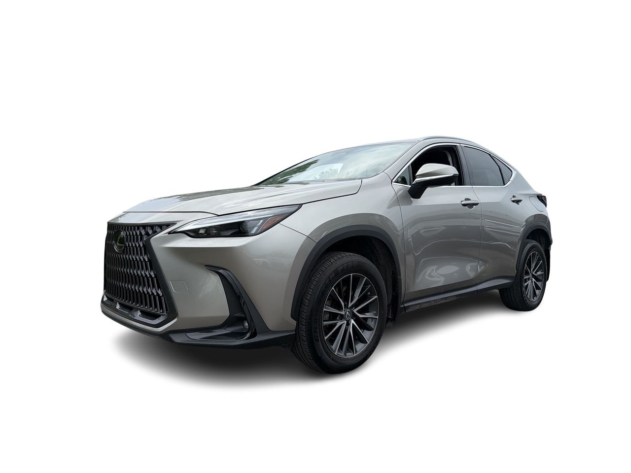 2023 Lexus NX