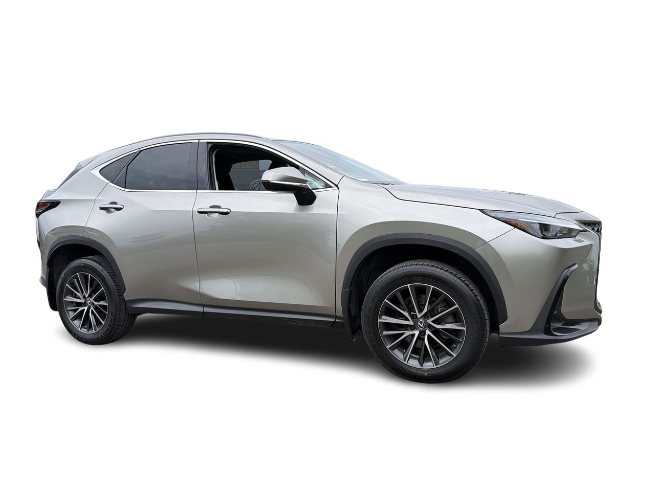 2023 Lexus NX