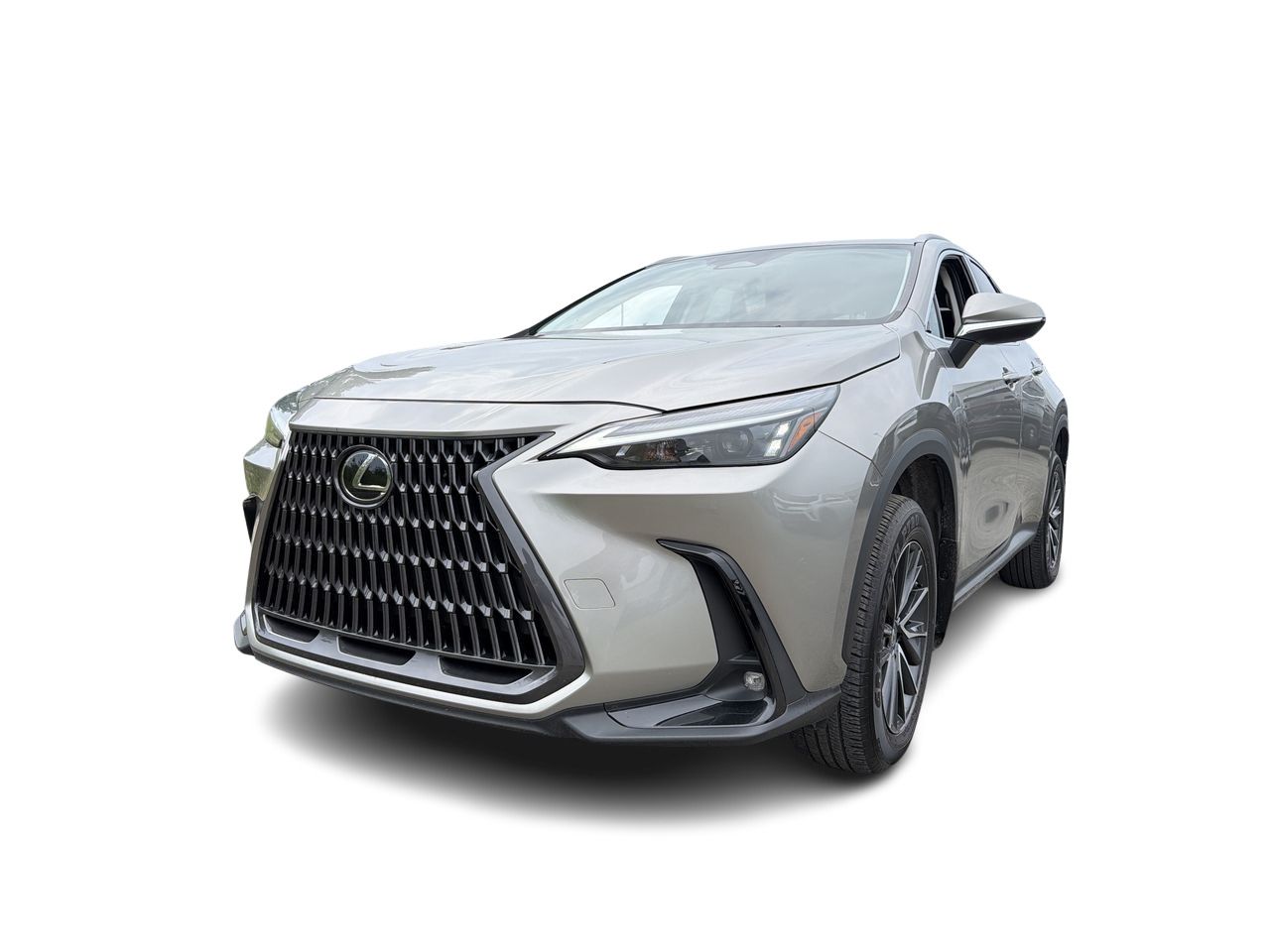 2023 Lexus NX