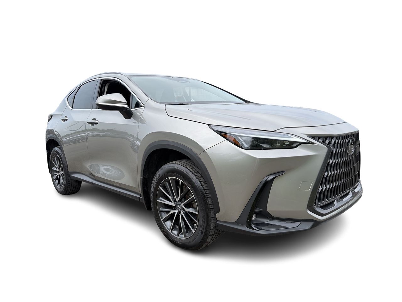 2023 Lexus NX