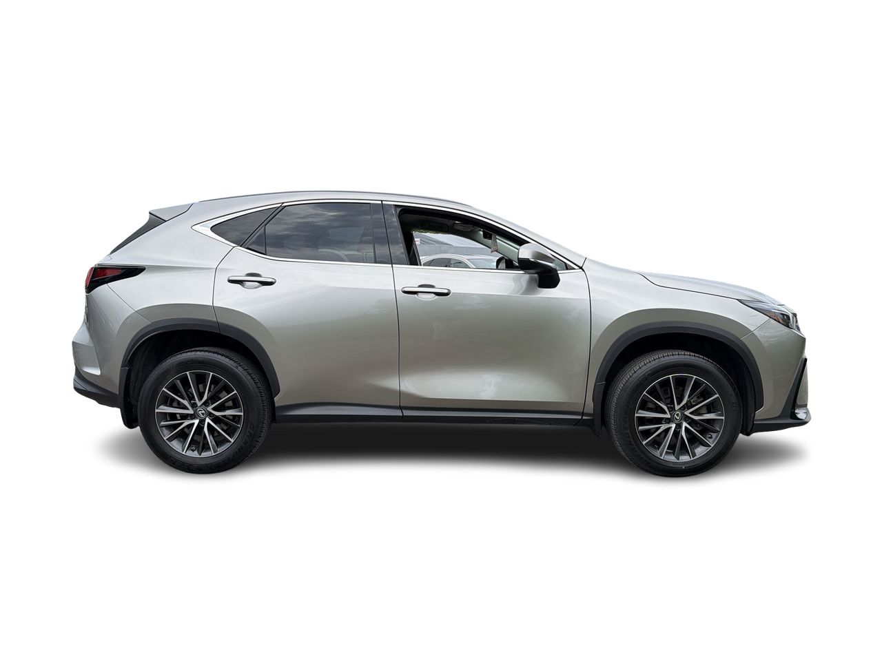 2023 Lexus NX
