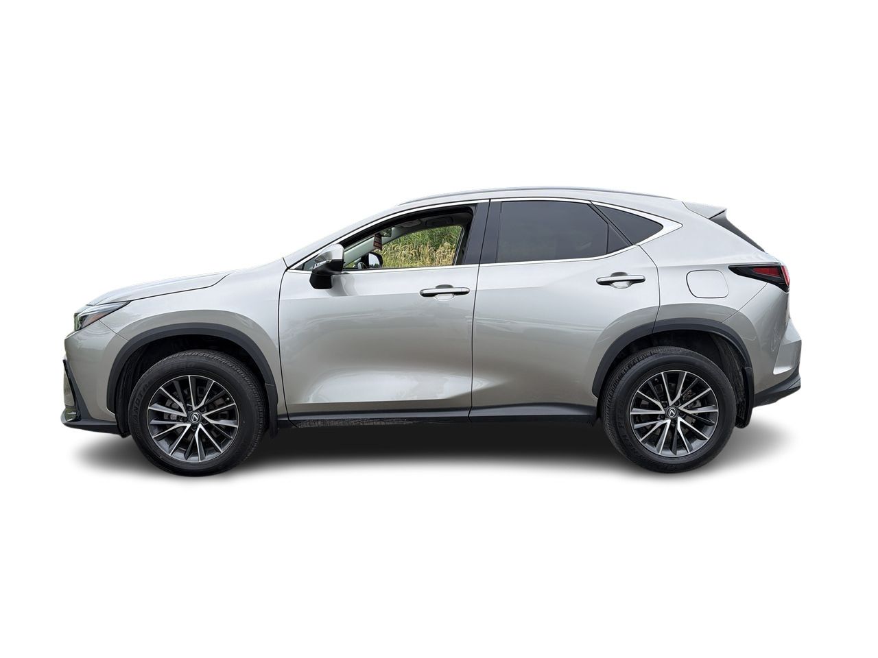 2023 Lexus NX