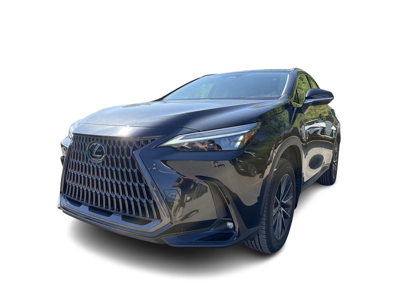 2023 Lexus NX