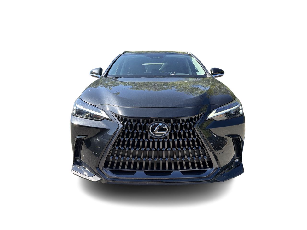2023 Lexus NX