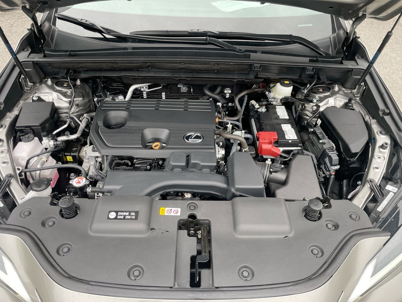 2024 Lexus NX in Laval, Quebec