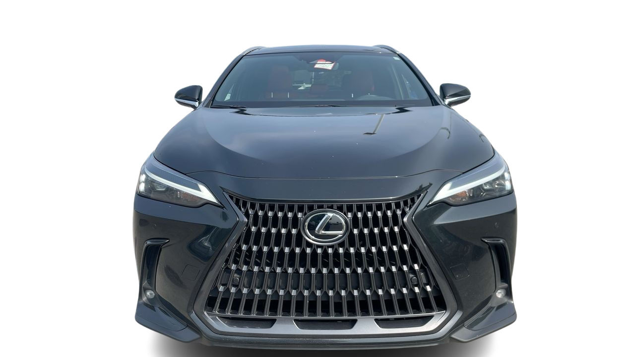 2024 Lexus NX in Laval, Quebec