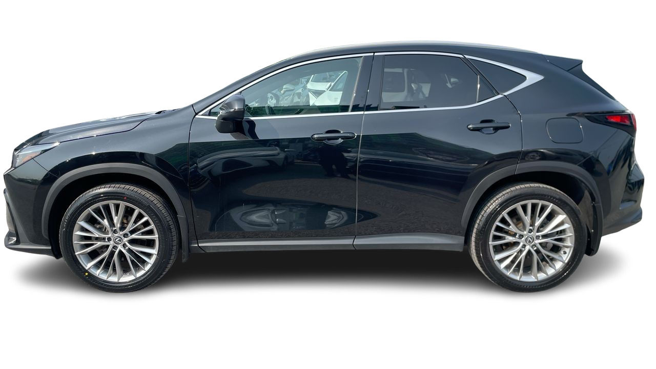2024 Lexus NX in Laval, Quebec