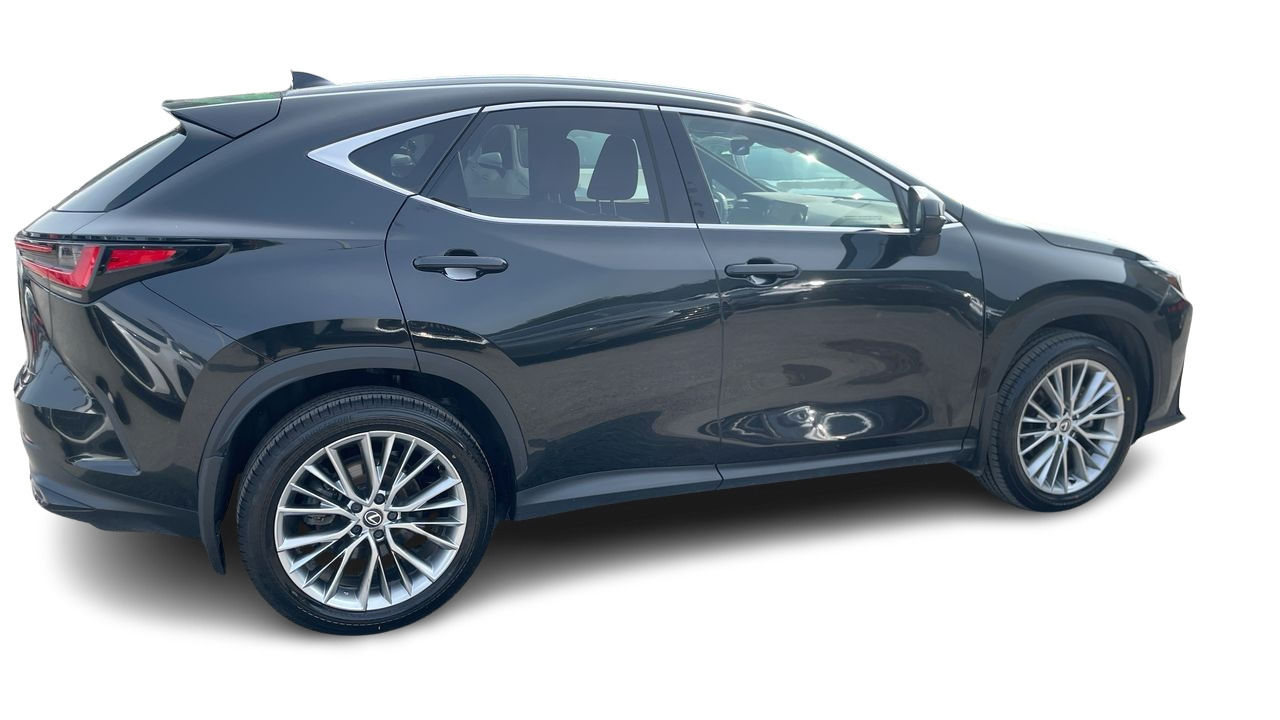 2024 Lexus NX in Laval, Quebec
