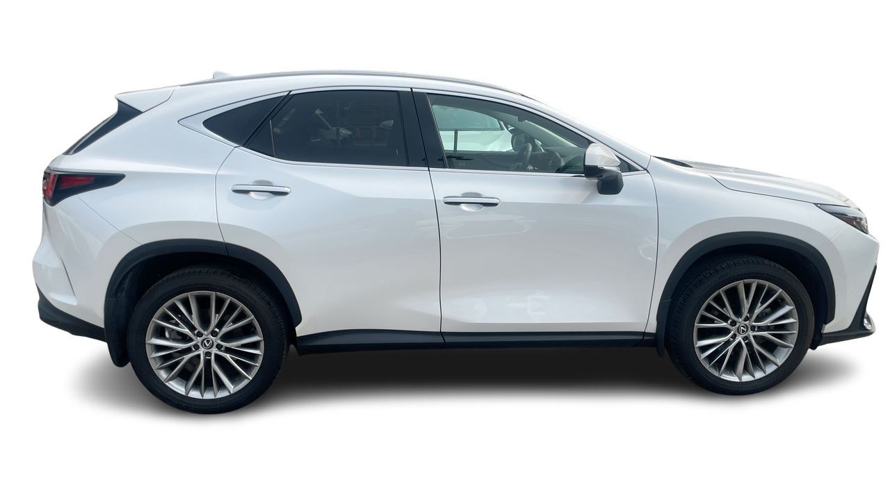 2024 Lexus NX in Laval, Quebec