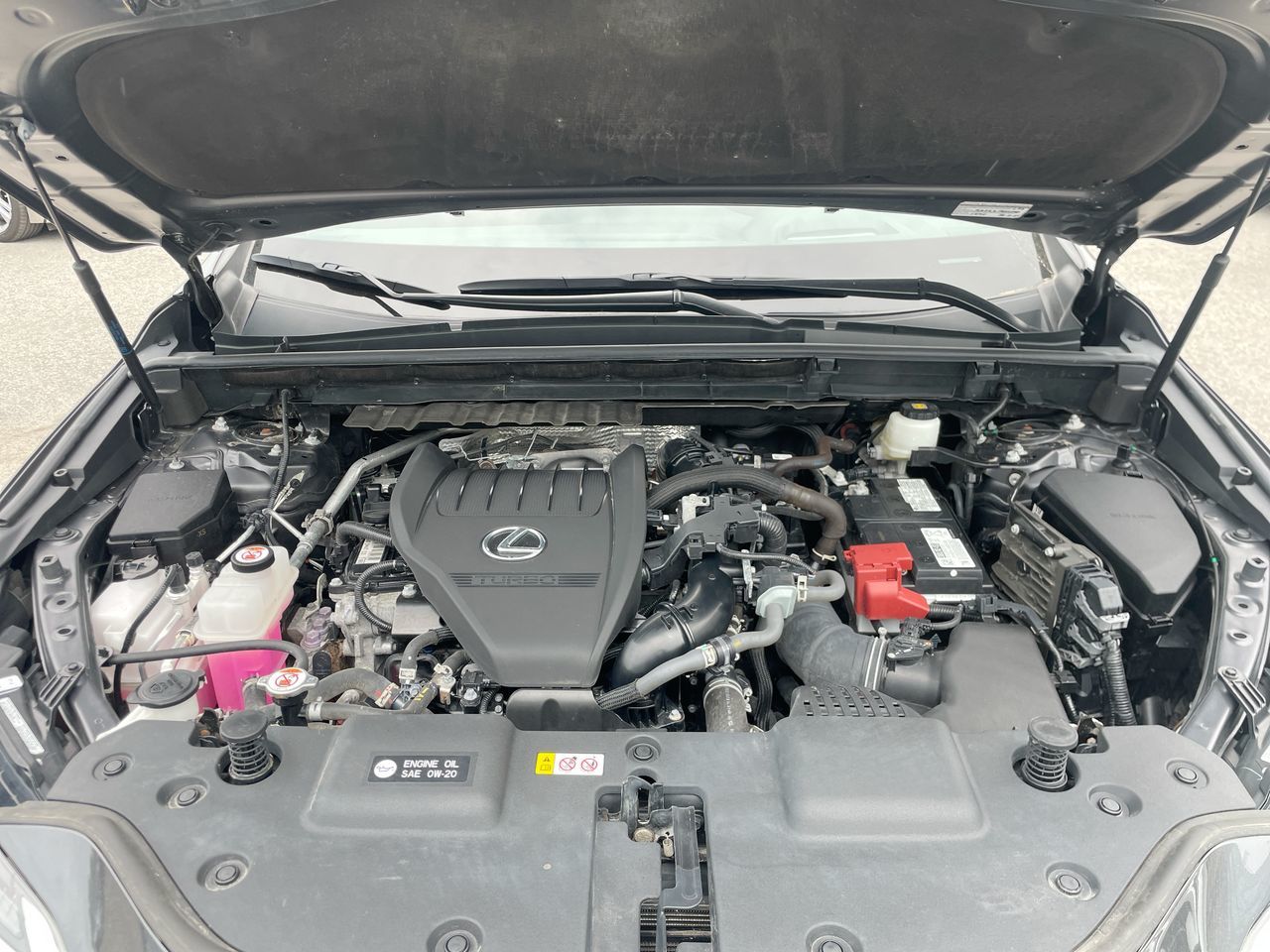 2024 Lexus NX in Laval, Quebec