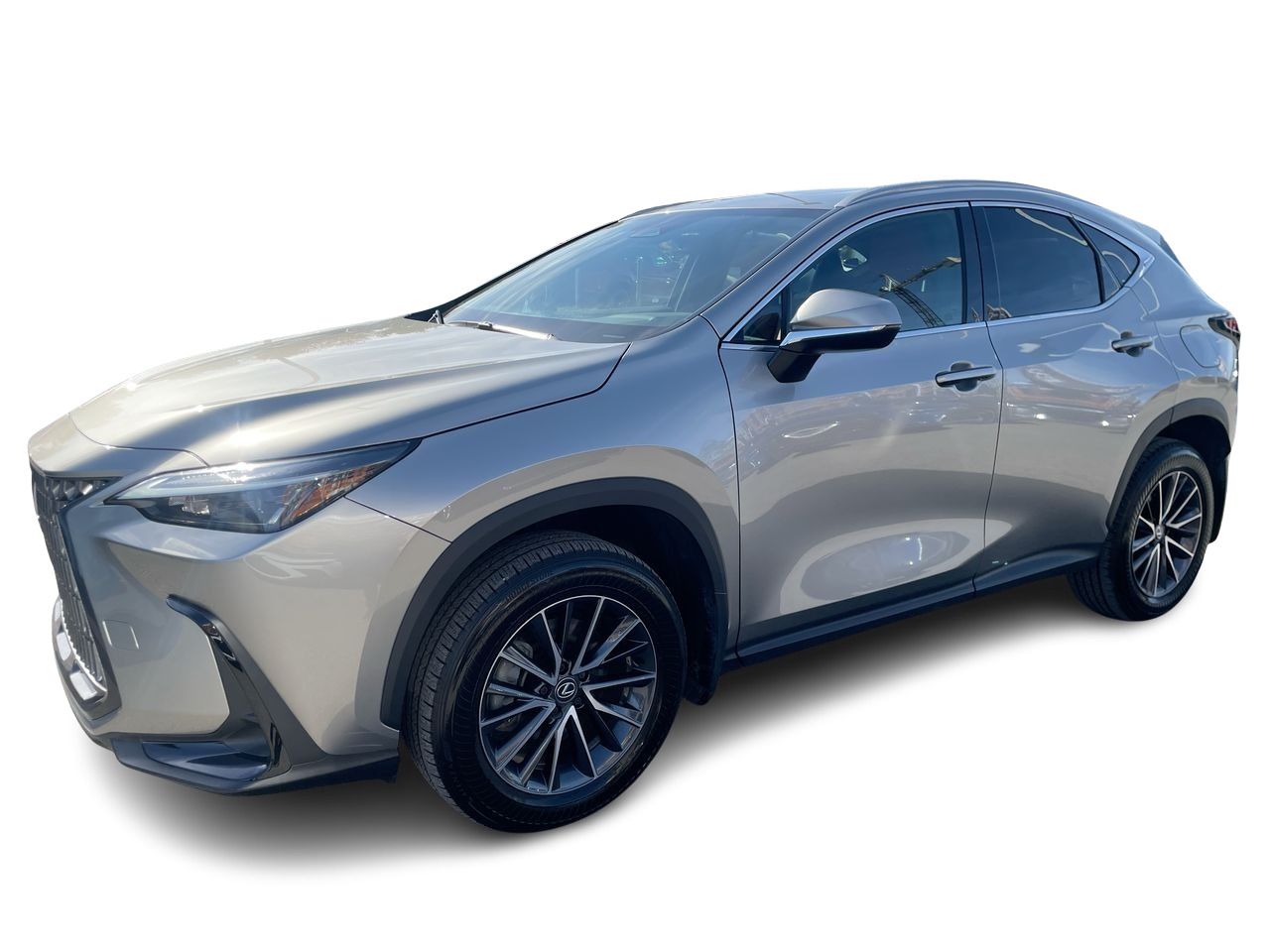 Lexus NX  2024