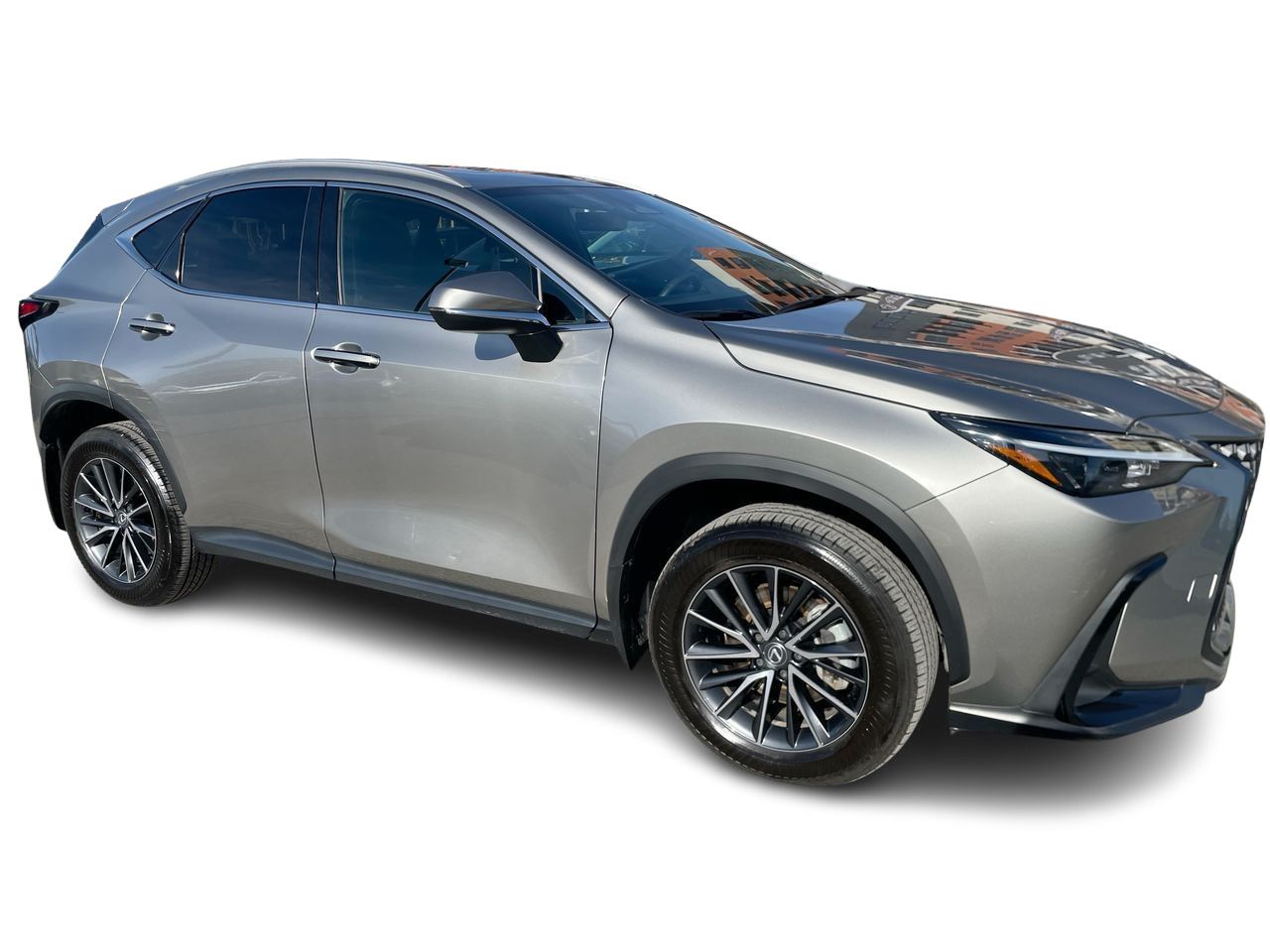 Lexus NX  2024