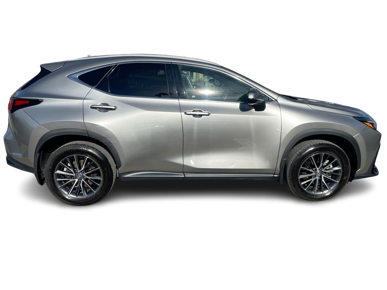 2024 Lexus NX