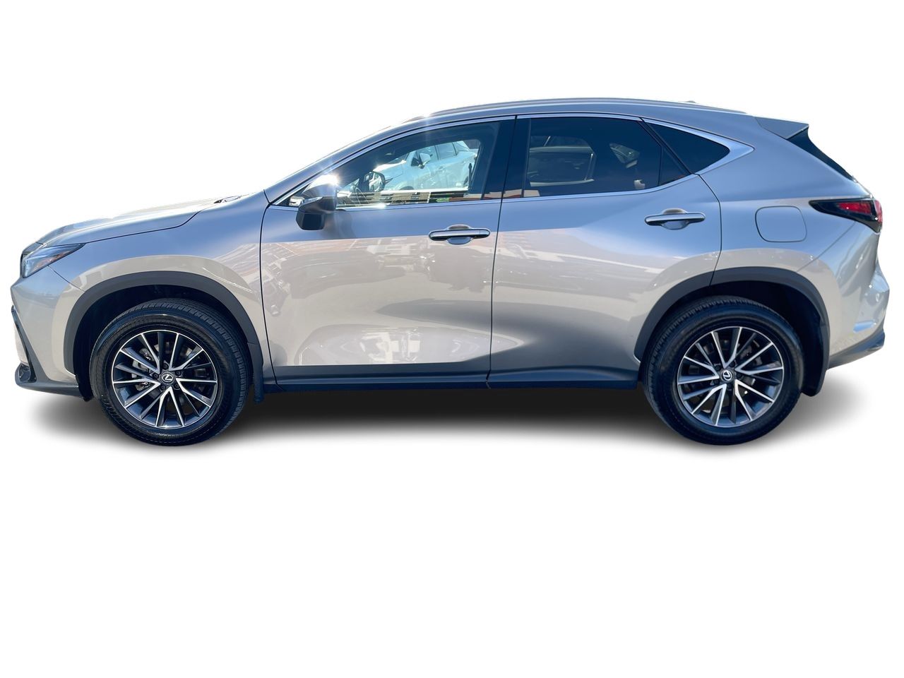 2024 Lexus NX