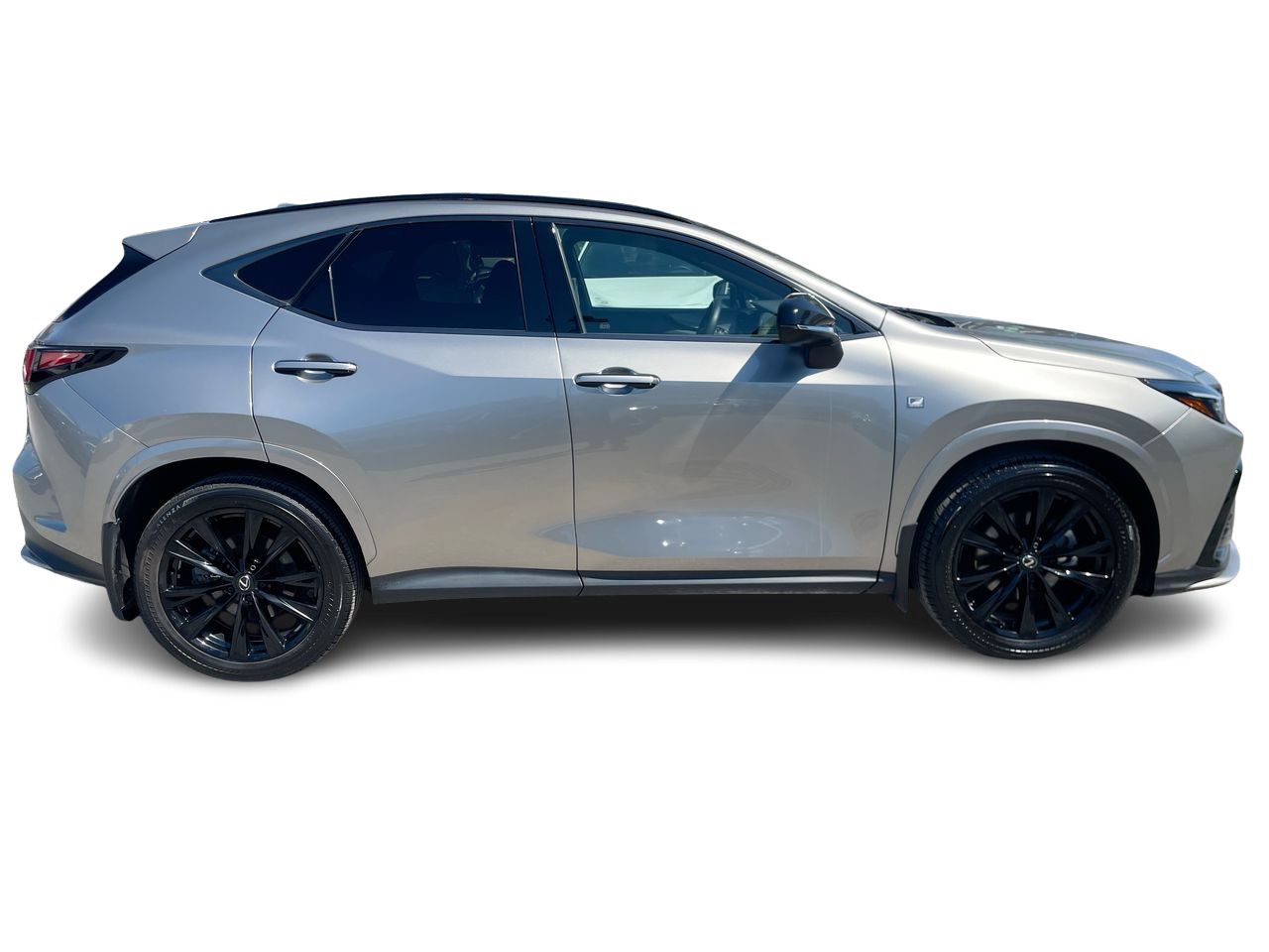 Lexus NX  2024