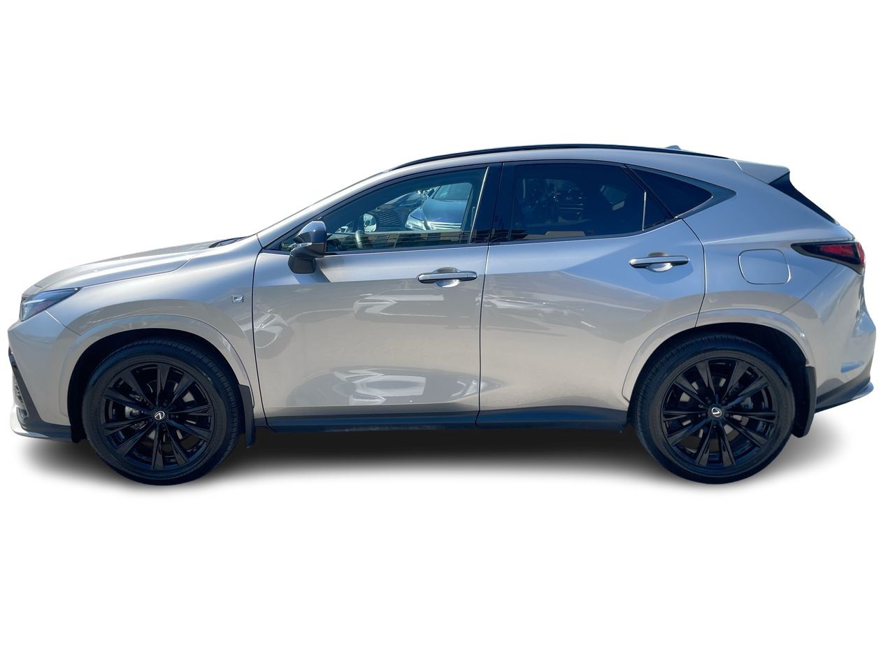 Lexus NX  2024