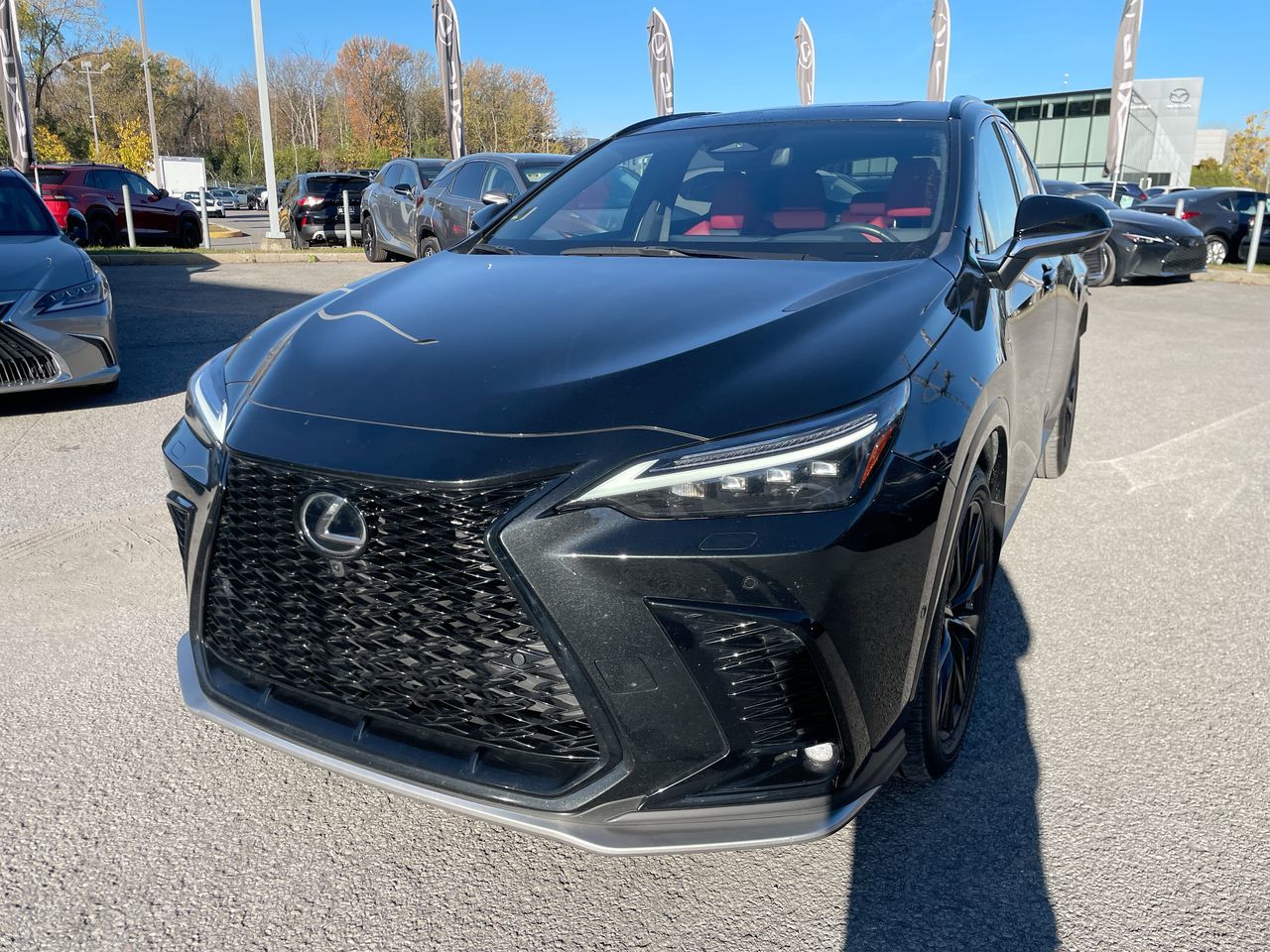 2024 Lexus NX
