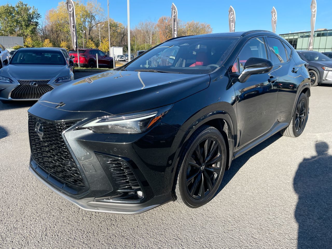 2024 Lexus NX