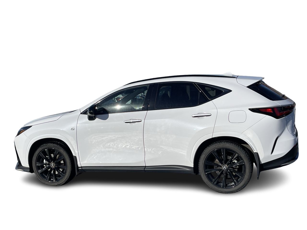 Lexus NX  2024