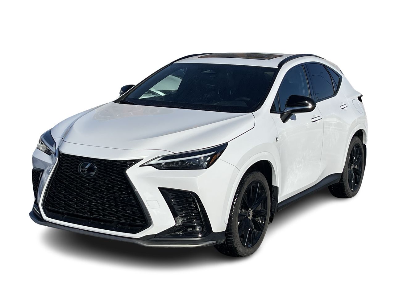 2024 Lexus NX