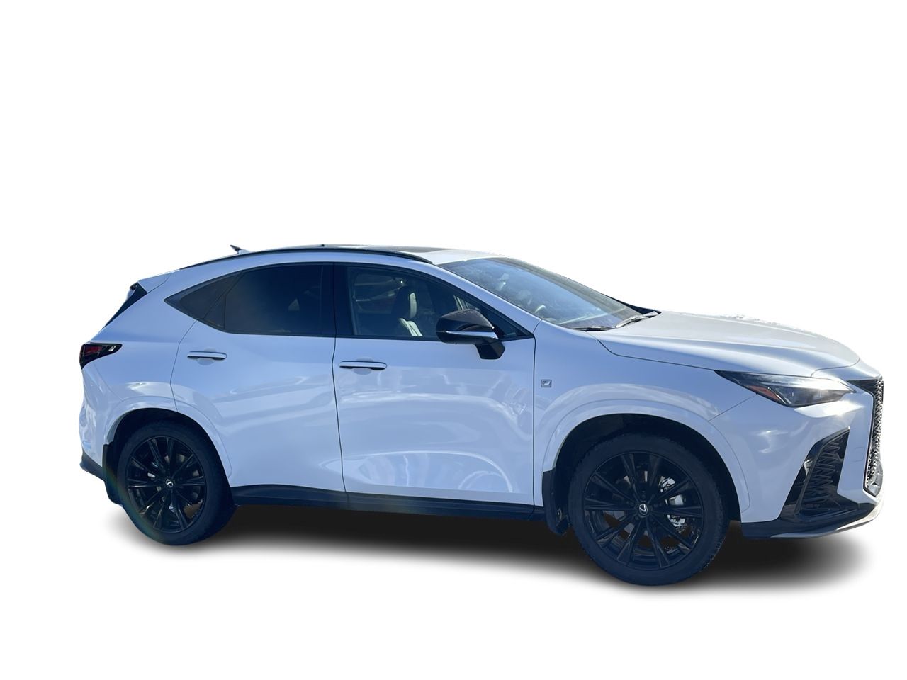 Lexus NX  2024