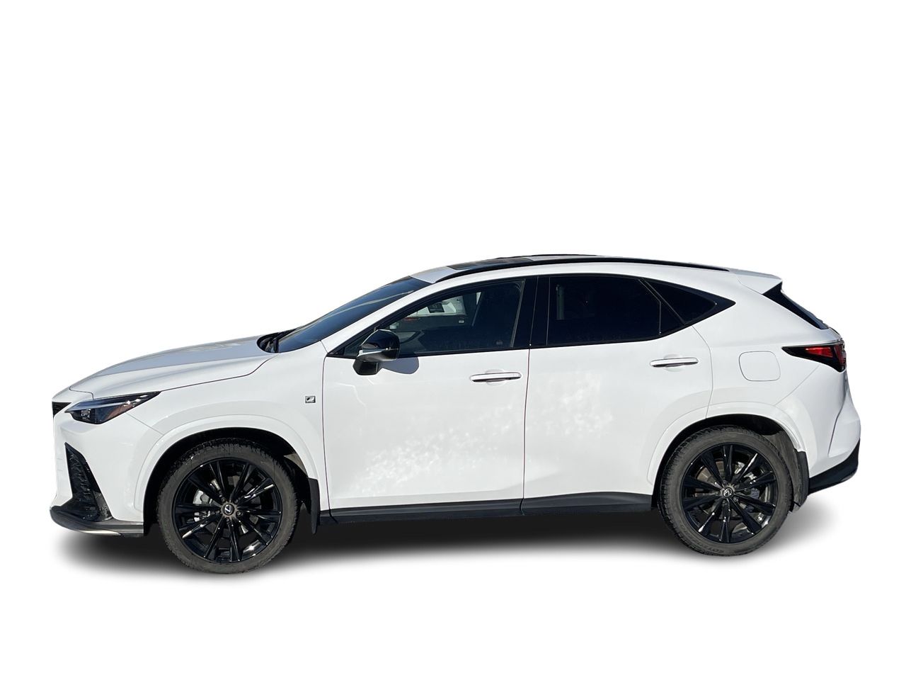 Lexus NX  2024