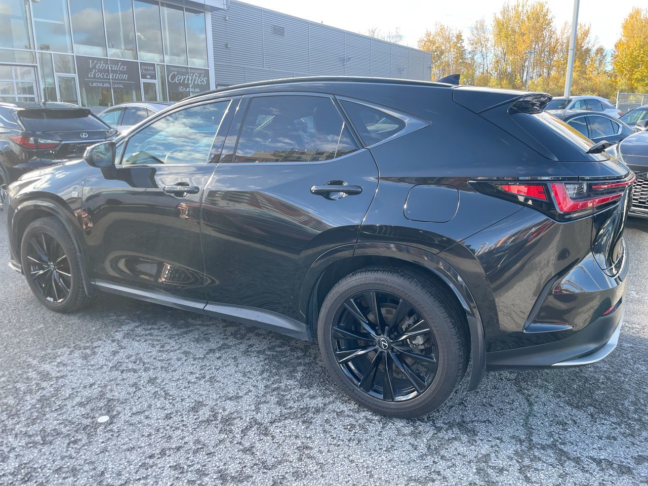 2024 Lexus NX