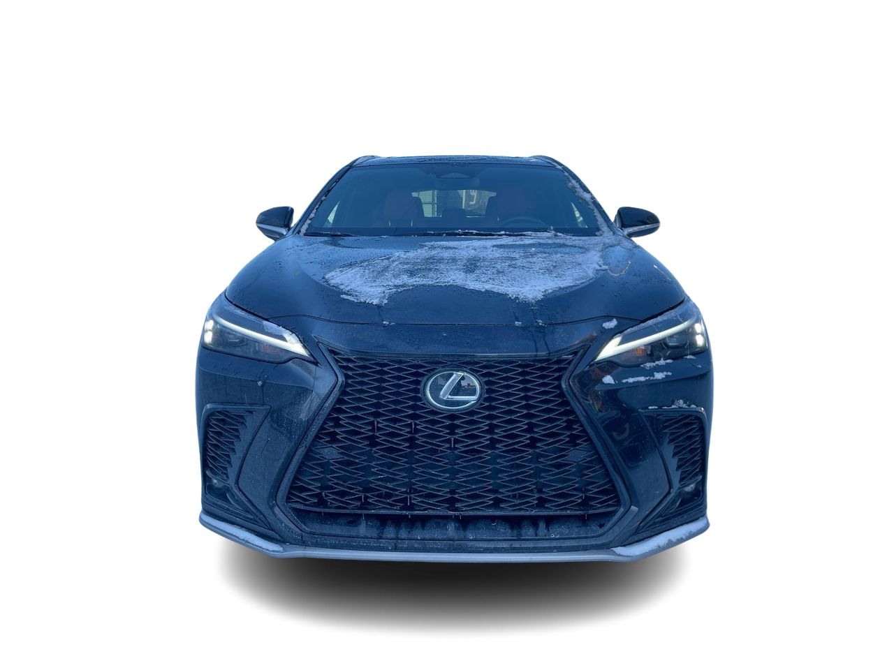 2024 Lexus NX