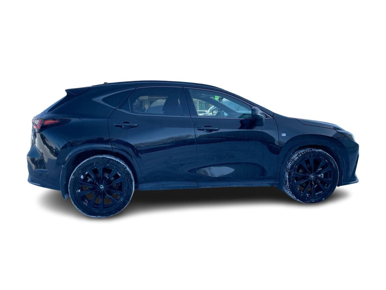 2024 Lexus NX
