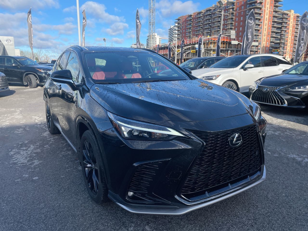 2024 Lexus NX