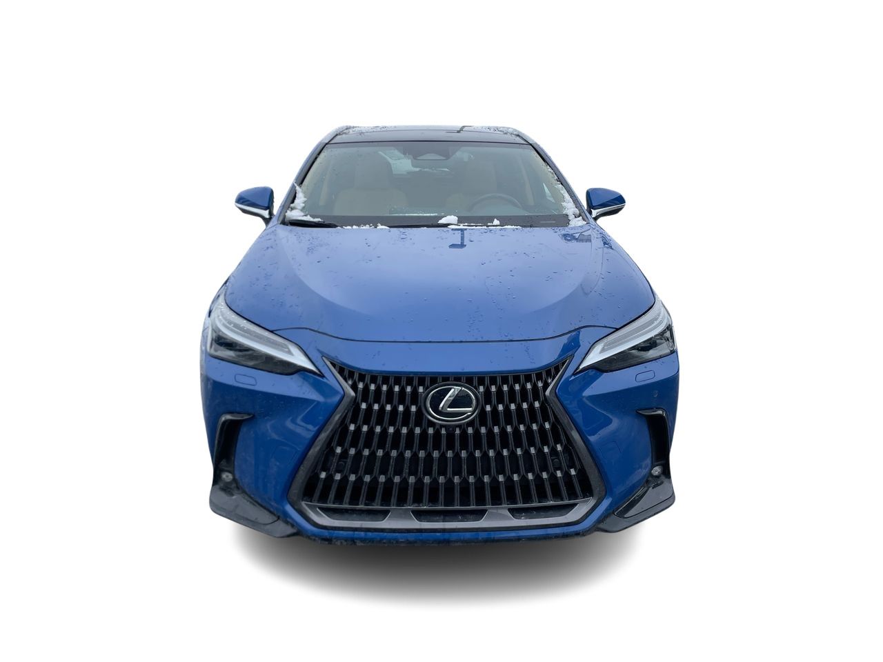Lexus NX  2024